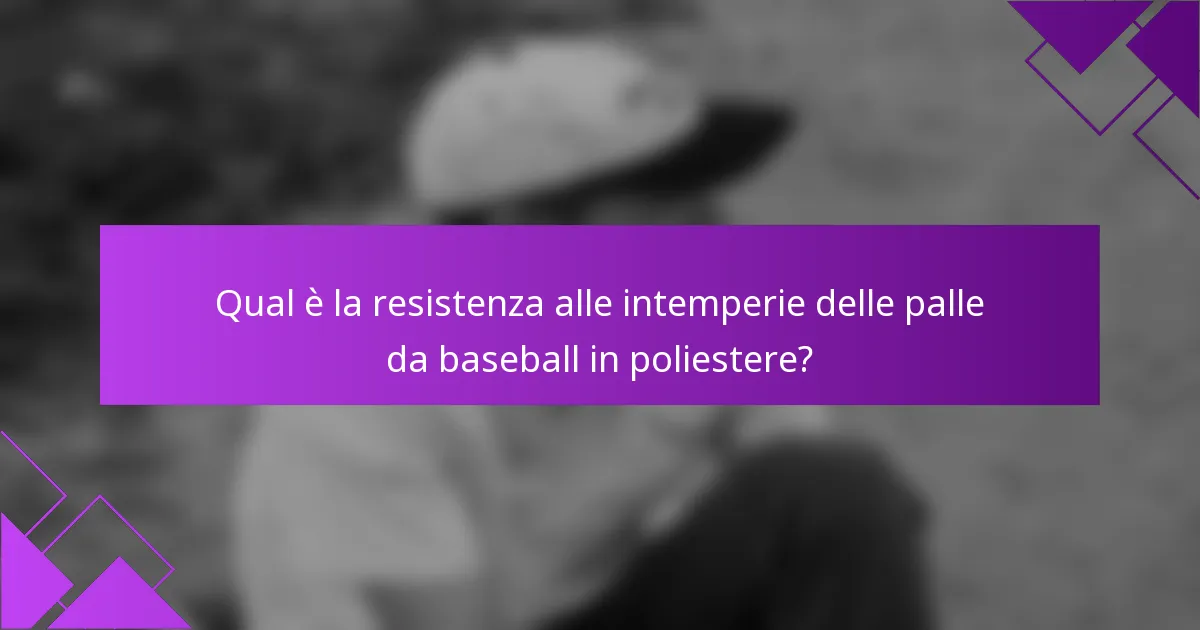 Qual è la resistenza alle intemperie delle palle da baseball in poliestere?
